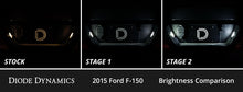 Load image into Gallery viewer, Diode Dynamics 15-20 d F-150 Interior LED Kit Cool White Stage 1