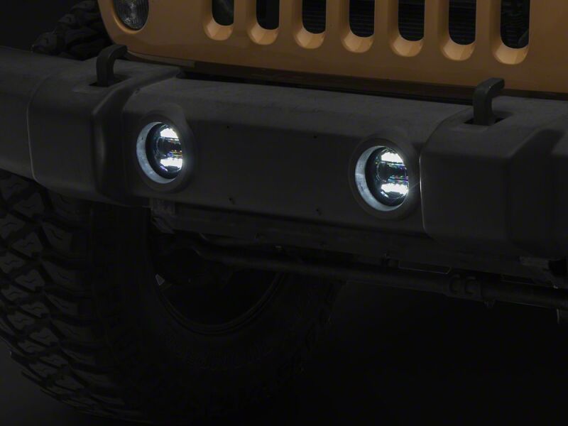 Photo - Close Up
