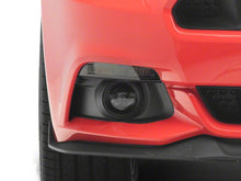 Load image into Gallery viewer, Photo - Close Up