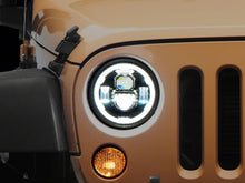Load image into Gallery viewer, User 1