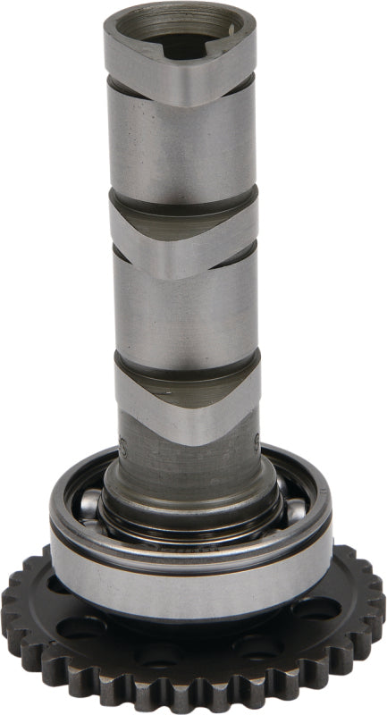 Hot Cams 2014-2016,2019 Polaris Ranger 900 Crew EPS 900cc Steel intake valve