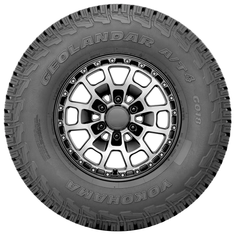 Photo - Close Up