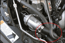 Load image into Gallery viewer, Photo - Primary