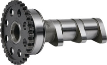 Load image into Gallery viewer, Hot Cams 2014-2016,2019 Polaris Ranger 900 Crew EPS 900cc Steel intake valve
