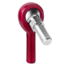 Load image into Gallery viewer, Photo - Primary