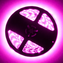 Load image into Gallery viewer, Oracle Exterior Black Flex LED 12in Strip - RGB ColorSHIFT SEE WARRANTY