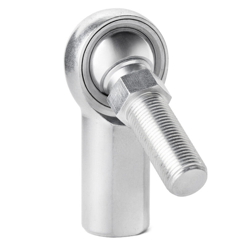 Photo - Primary
