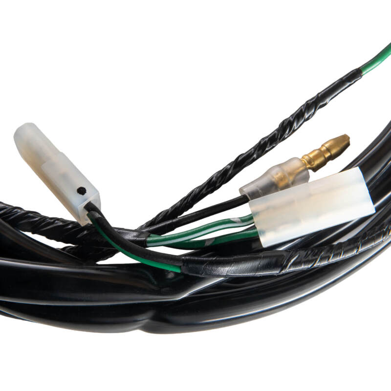 Photo - Close Up