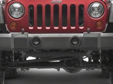 Load image into Gallery viewer, Photo - Close Up