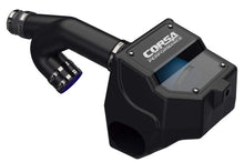 Load image into Gallery viewer, Corsa 15-19 Ford F150 2.7L &amp; 15-16 3.5L Ecoboost V6 DryTech 3D Closed Box Air Intake