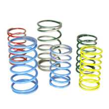 Load image into Gallery viewer, Tial Small Wastegate Spring