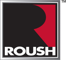 Load image into Gallery viewer, ROUSH 2015-2020 Ford F-150 2.7L/3.3L/3.5L/5.0L Active Cat-Back Exhaust Kit (Excl. Raptor &amp; Short Cab